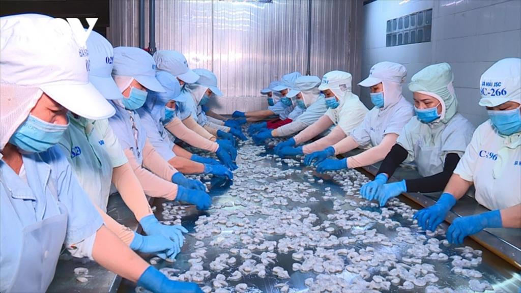 Xuất khẩu thủy sản sang Đài Loan bứt tốc trong bối cảnh COVID-19