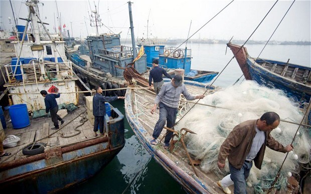 Thách thức và cơ hội cho phát triển thuỷ sản bền vững ở Philippines