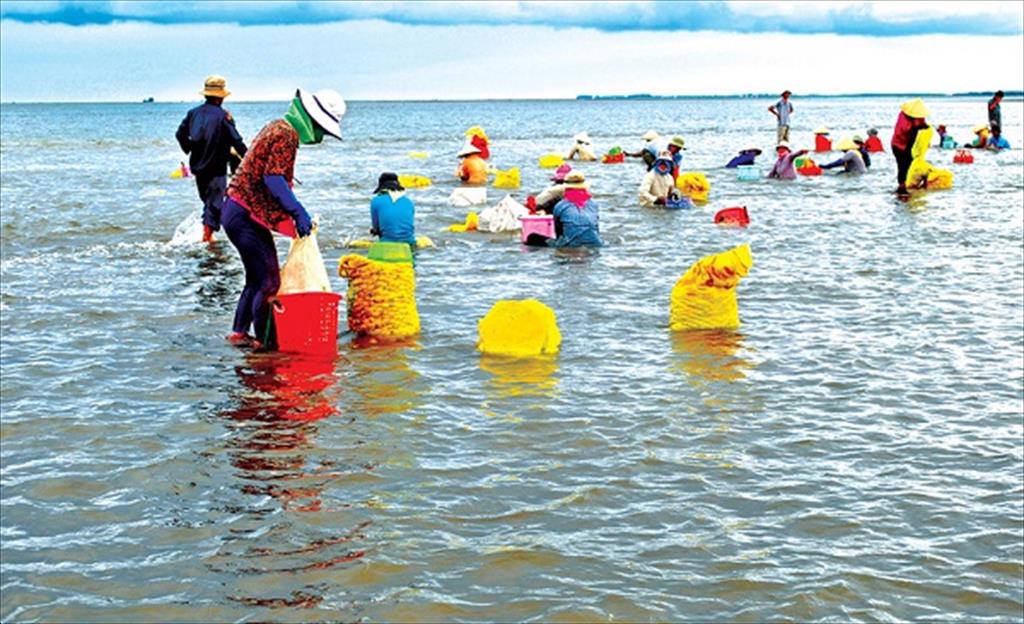 Tien Giang to expand aquatic farming area to over 10,500 ha