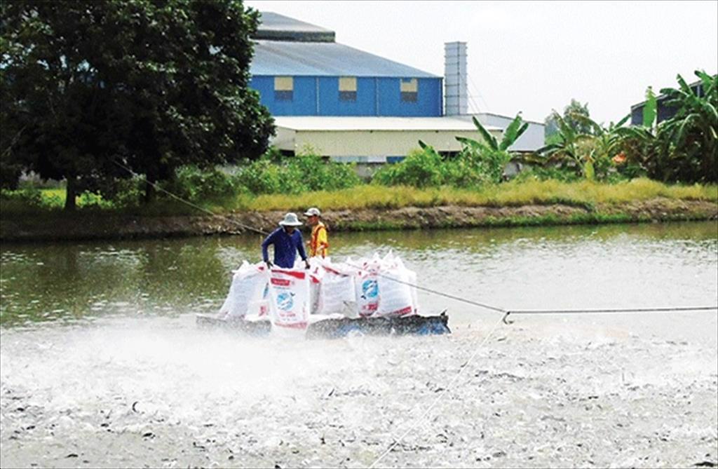 Các địa phương tập trung nuôi trồng thủy sản