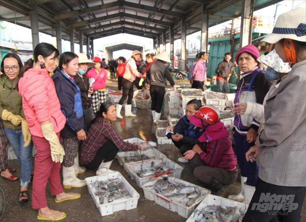 Nghệ An lợi thế về thủy sản, cần hoàn thiện để gỡ thẻ phạt của EC