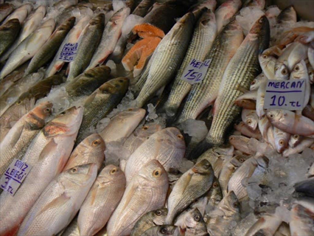 Năm 2019, Mỹ nhập khẩu 2,4 triệu USD thủy sản đánh bắt bất hợp pháp 