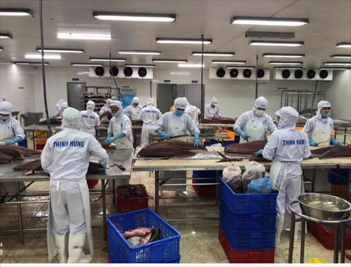 Hai tháng đầu năm 2021, xuất khẩu cá ngừ giảm 10%