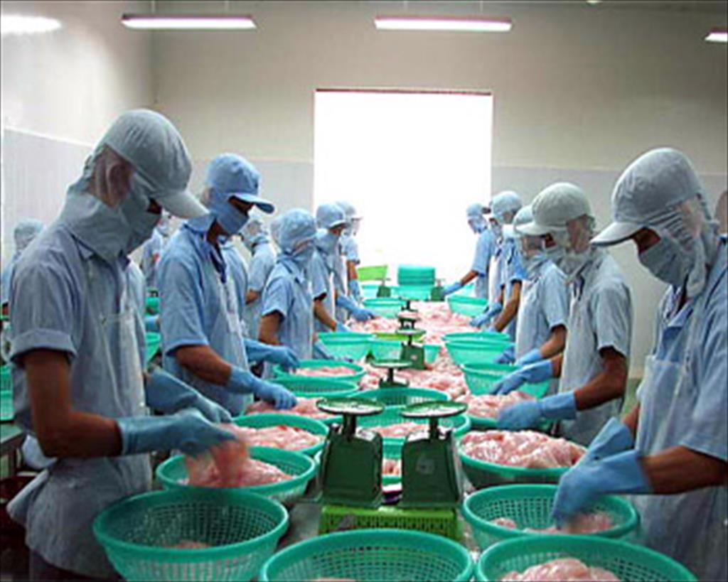 Bac Lieu province: Flourishing seafood exports to markets