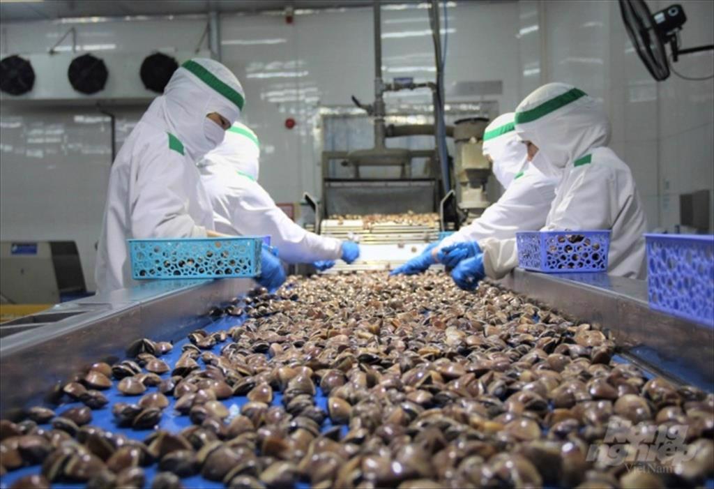 5 vấn đề nổi cộm của ngành thủy sản