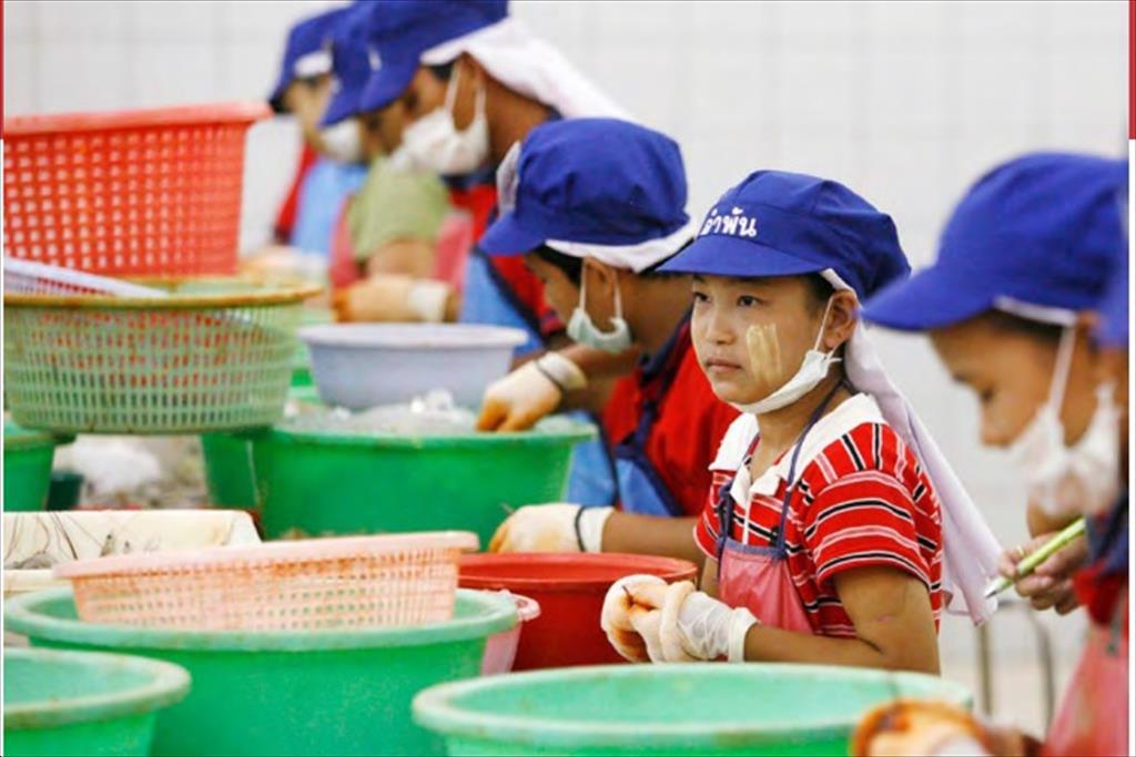 Bộ Lao động và ngành thủy sản Thái Lan ký thỏa thuận cải thiện nỗ lực chống lao động nô lệ 