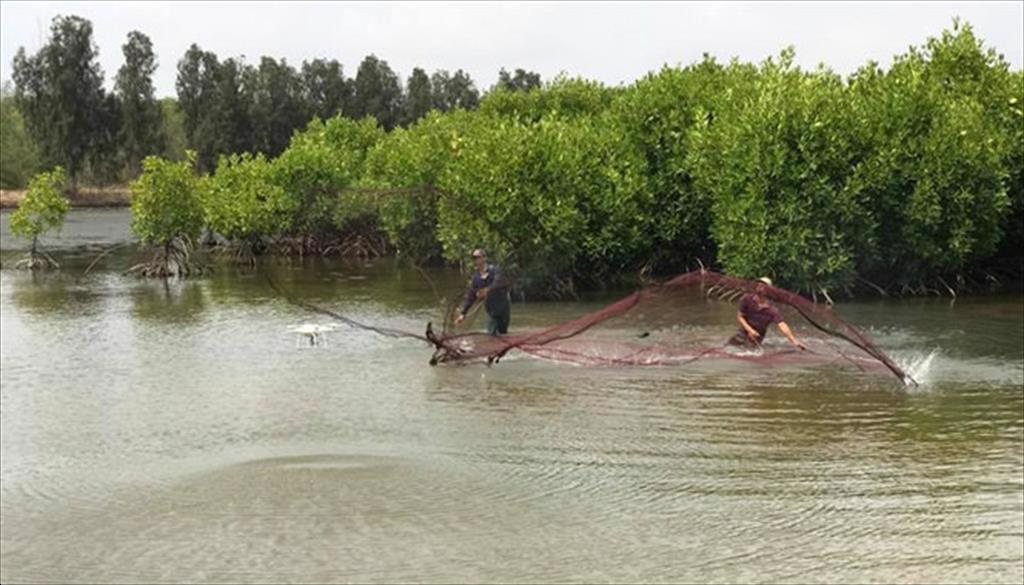 EU định hướng tăng trưởng nuôi trồng thủy sản hữu cơ