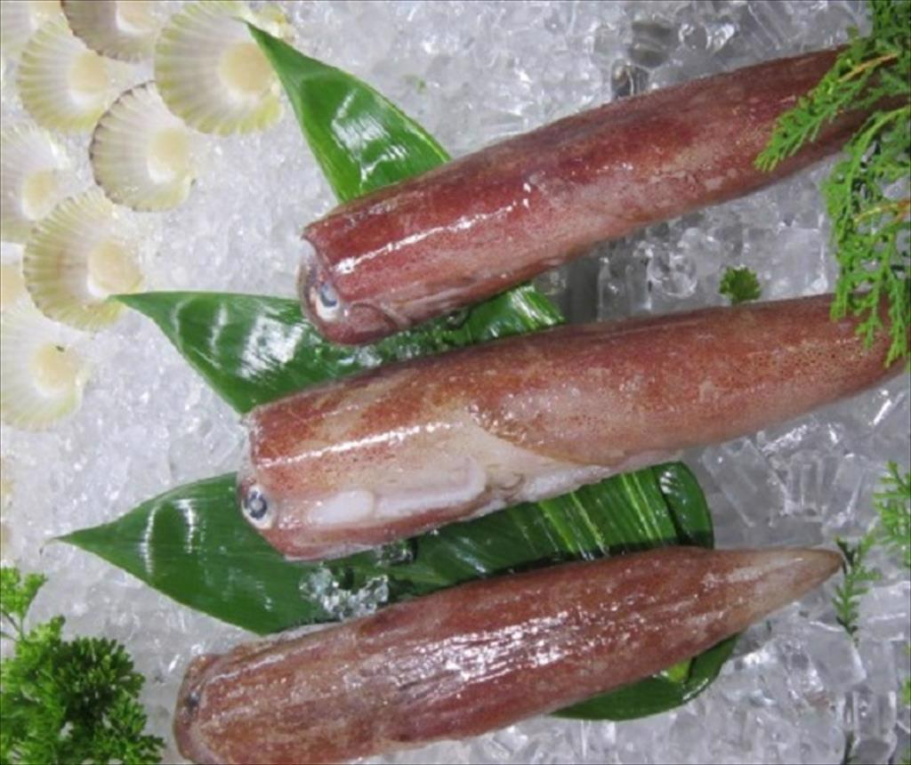 Positive signals in Vietnam cephalopod exports in the first 2 months of 2021