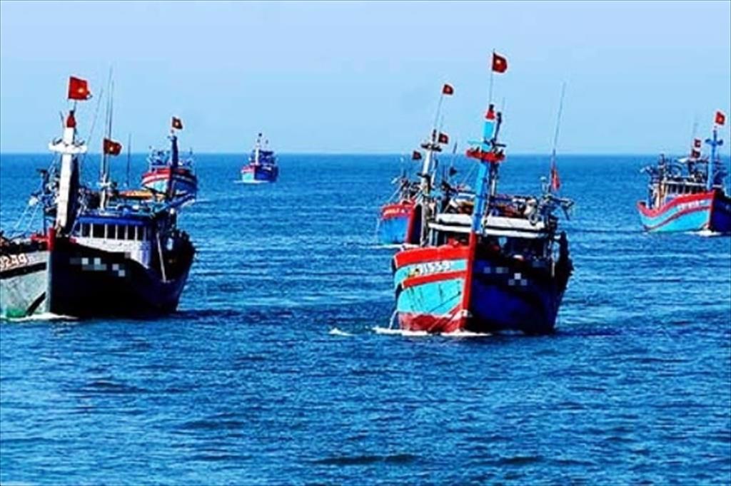 Binh Dinh: All fishing ships must obtain food safety certificates by end of June