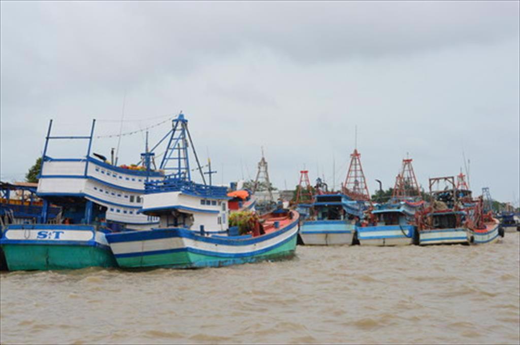 Kien Giang province to complete installing fishing vessel cruise monitoring equipment