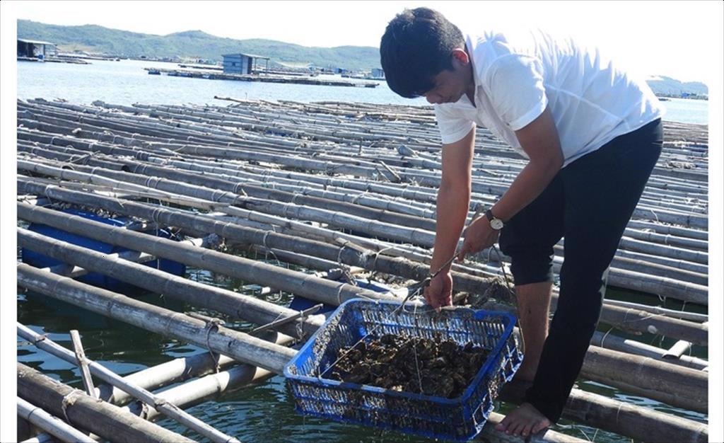 Sông Cầu: Áp dụng khoa học kỹ thuật vào nuôi trồng thủy sản