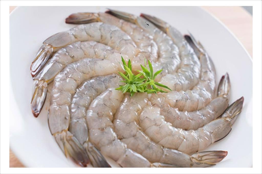 Ngành tôm Mỹ đòi áp thuế 2% với tôm nước ấm Ấn Độ