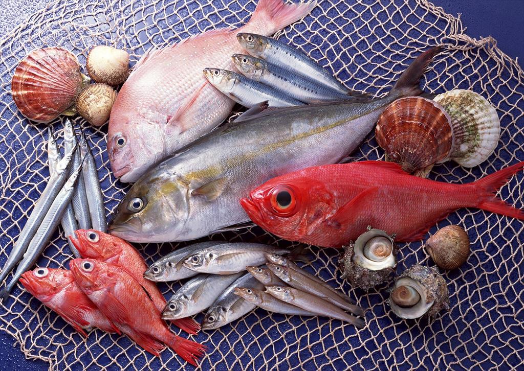 Quarter I/2021: Marine product exports surged thanks to surimi, canned fish, and dried fish