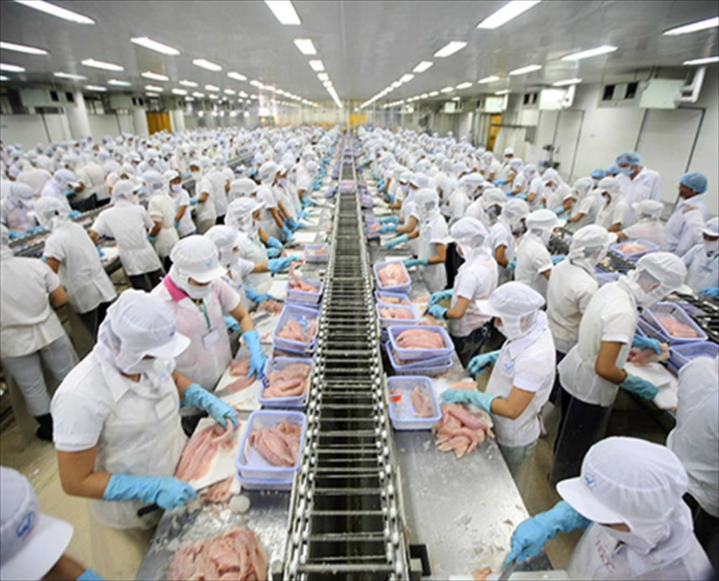 EVFTA: Cánh cửa đưa ngành hàng xuất khẩu tiến sâu vào thị trường EU