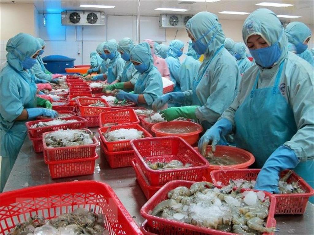 Sản phẩm thuỷ sản đông lạnh và chế biến khác dùng làm thực phẩm cho người có phải kiểm dịch khi nhập khẩu?