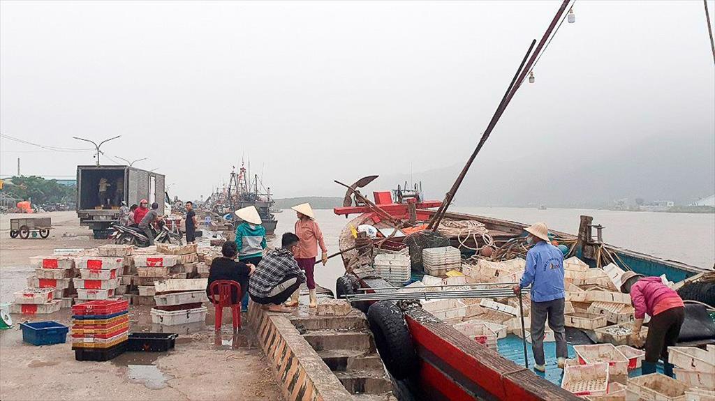 Thanh Hóa: Tăng cường quản lý hoạt động khai thác hải sản