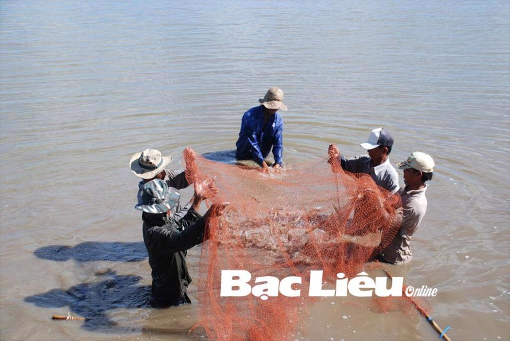 Đông Hải (Bạc Liêu): Nhân rộng các mô hình sản xuất hiệu quả trong nuôi trồng thủy sản