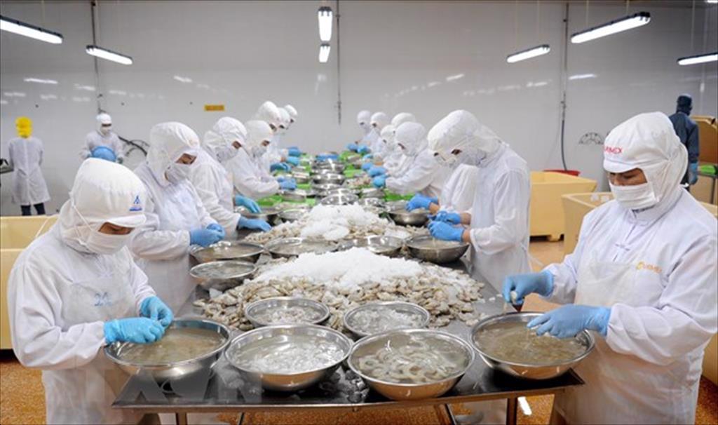 Nâng tầm thương hiệu tôm Cà Mau, đẩy mạnh thị trường xuất khẩu