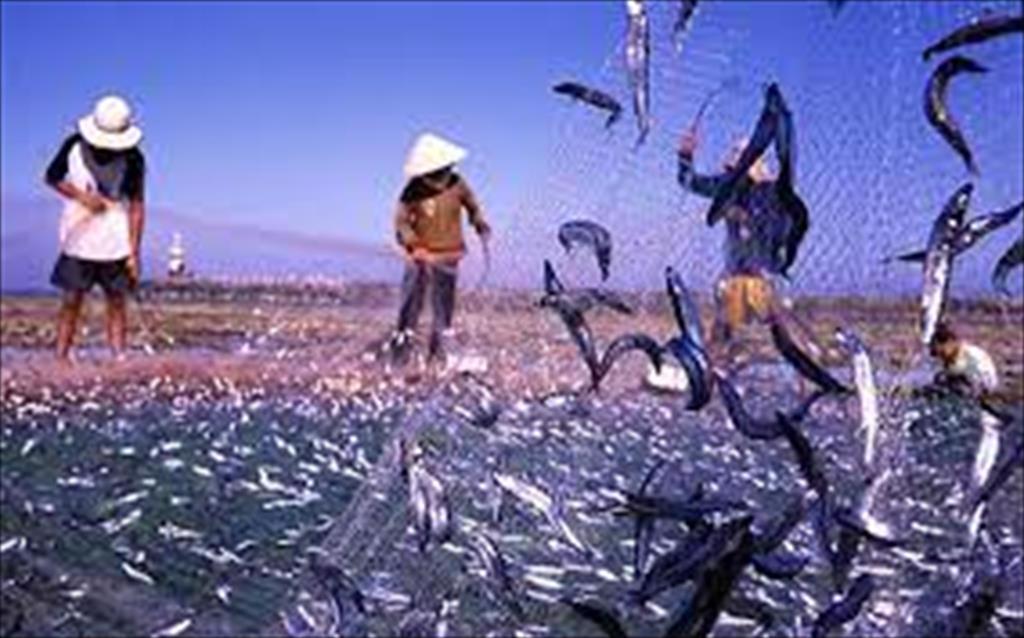 Phu Quoc Island gets into it