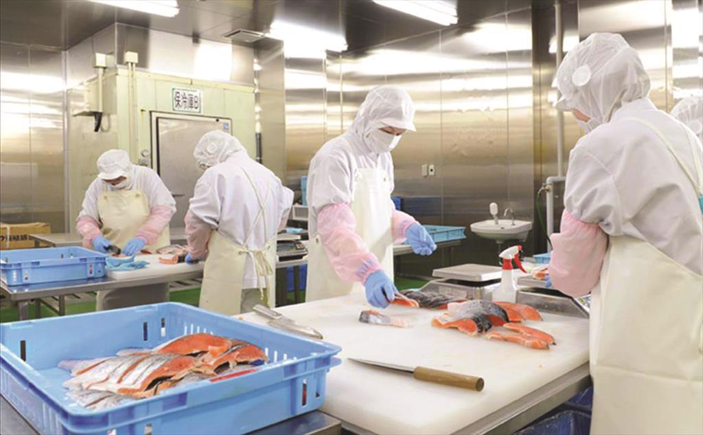 Thủy sản gặp khó vì “bó” kiểm dịch: Ai đã đánh tráo khái niệm?