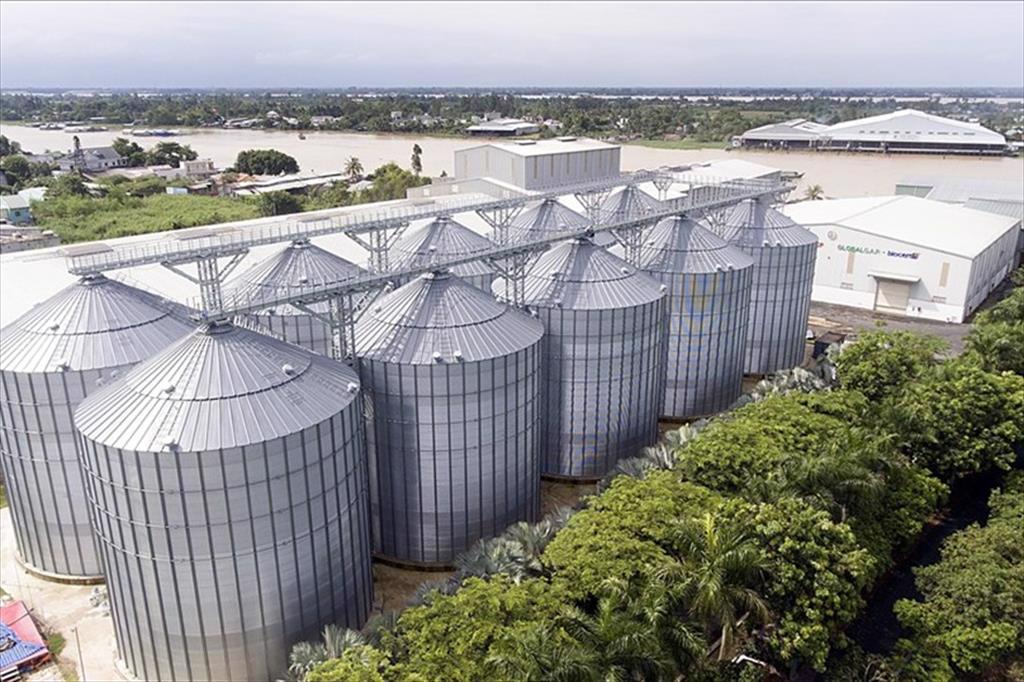 Nguy cơ thiếu kho bảo quản nông sản trong bối cảnh dịch bệnh COVID-19