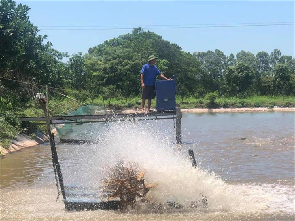 Ngành thủy sản tạo đột phá nhờ công nghệ