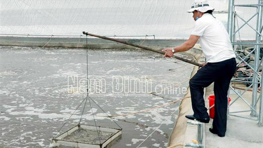 Nam Định: Phát triển vùng nuôi thủy sản tập trung