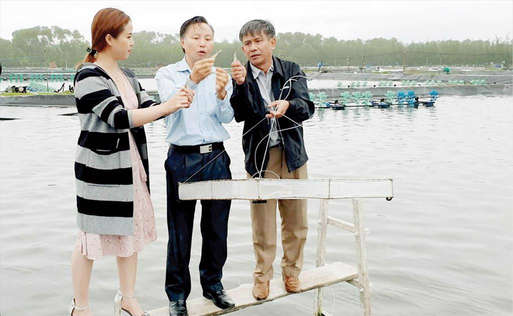 Hướng đến nuôi tôm an toàn