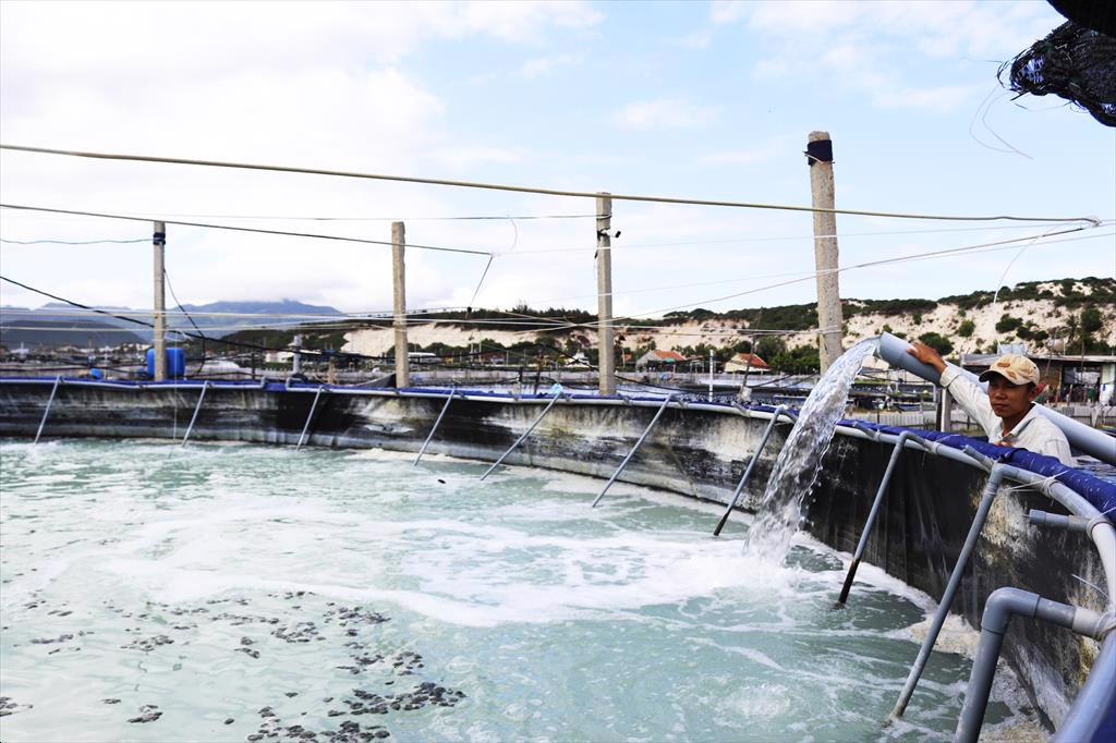 Nuôi tôm trên bạt ở Vạn Ninh: Kiểm soát việc khai thác nước ngầm