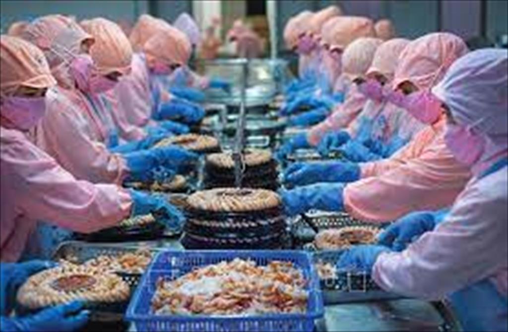 Ca Mau: Seafood exports are soaring 