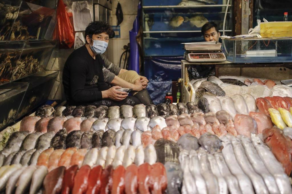 Trung Quốc: Một số nhà chế biến ngừng sản xuất do giá cước vận tải cao ngất ngưởng