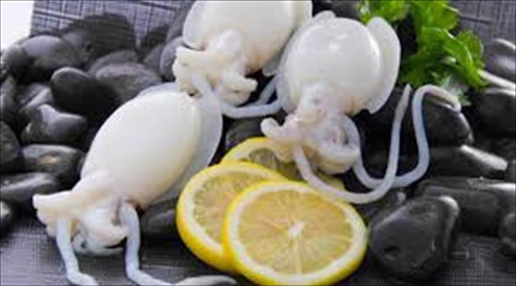 Exports of marine products to Korea increased slightly