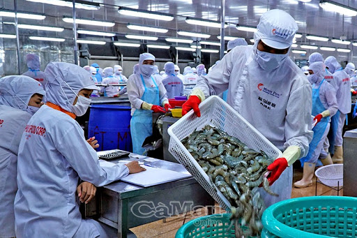 Top 10 Vietnam shrimp exporters in first 4 months of 2021 