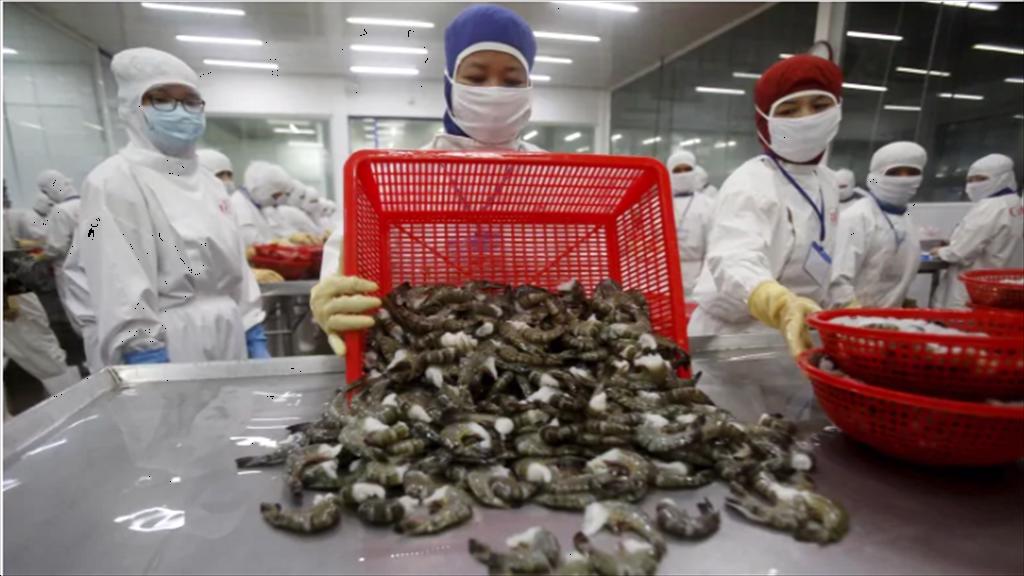 Tôm Ấn Độ lao đao vì làn sóng COVID-19 lần hai