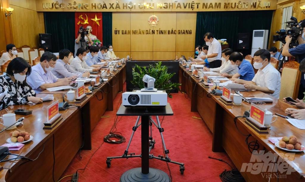 Nông sản tăng mạnh cả sản lượng lẫn giá trị xuất khẩu