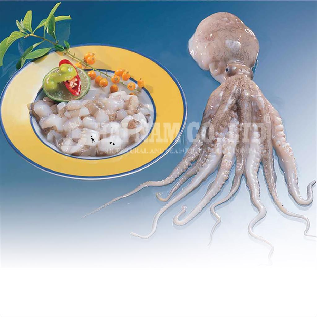 Xuất khẩu mực, bạch tuộc sang Trung Quốc tăng 21%