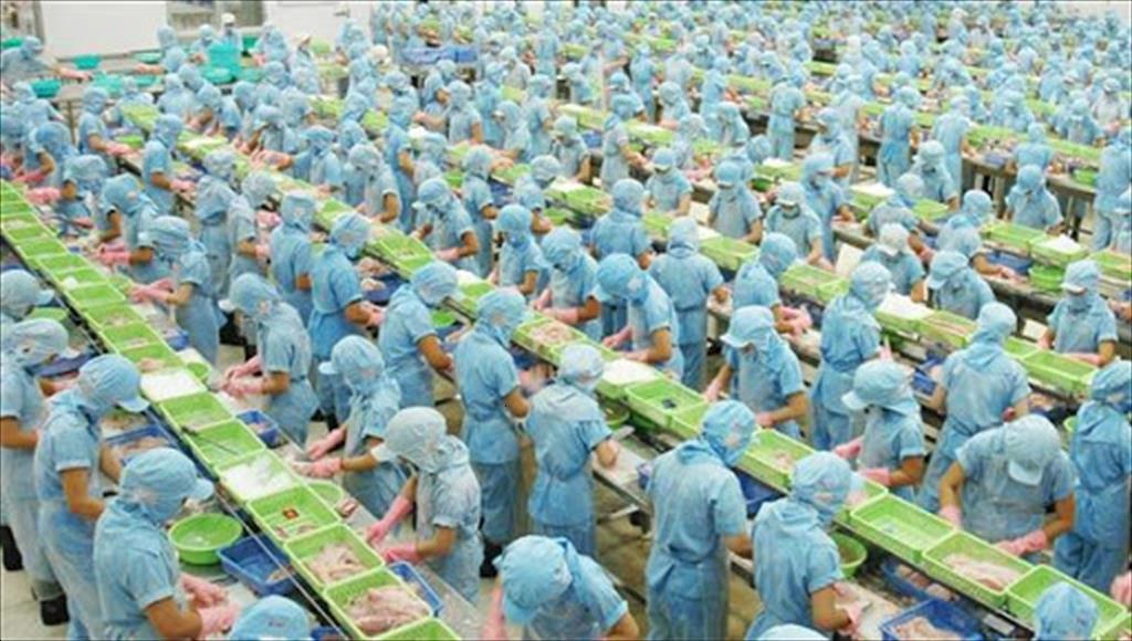 Doanh nghiệp thủy sản mong được tiếp cận vắc xin sớm