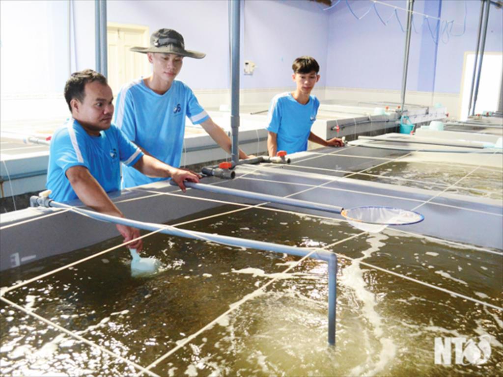 Kiểm soát, phòng ngừa dịch bệnh trên con giống