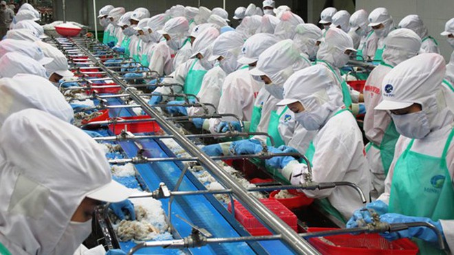 Minh Phu Seafood poured more than 600 billion VND into a high-tech agricultural company