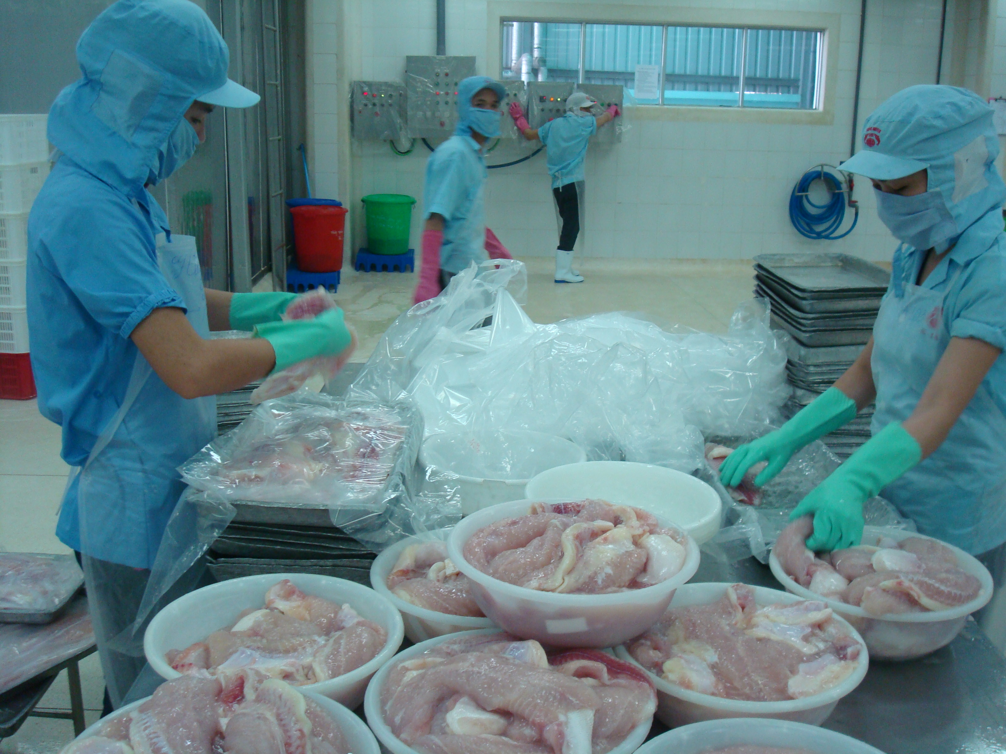 Vietnamese seafood enterprises are on the rebound