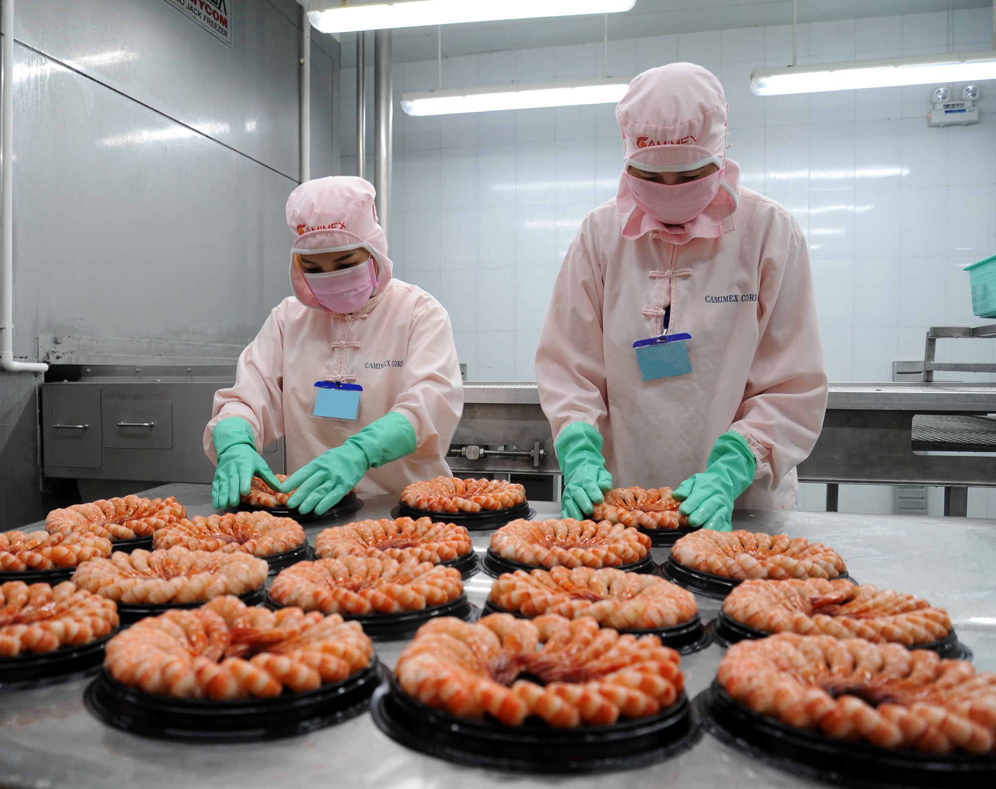 Ca Mau Province: Shrimp exports in the first half of the year increased by 16%