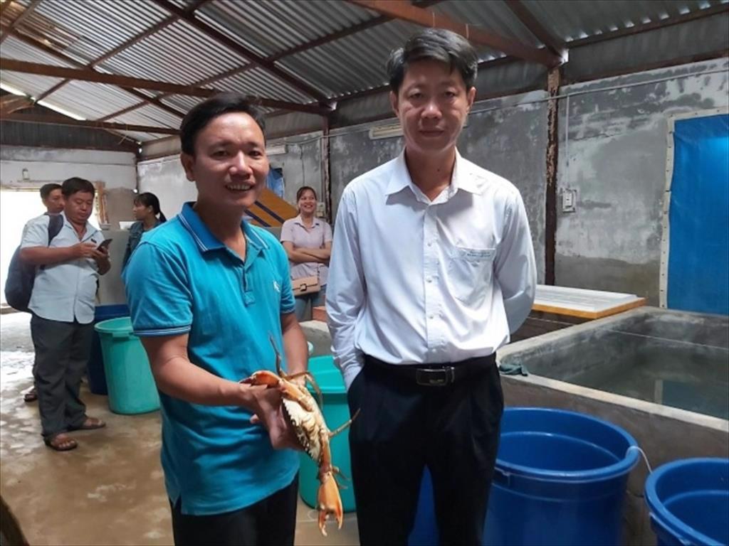 Sản xuất thành công giống cua biển bản địa ở Trà Vinh