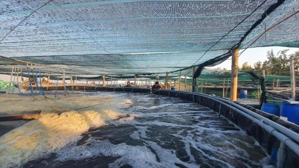 Xử lý môi trường nước bằng công nghệ tuần hoàn