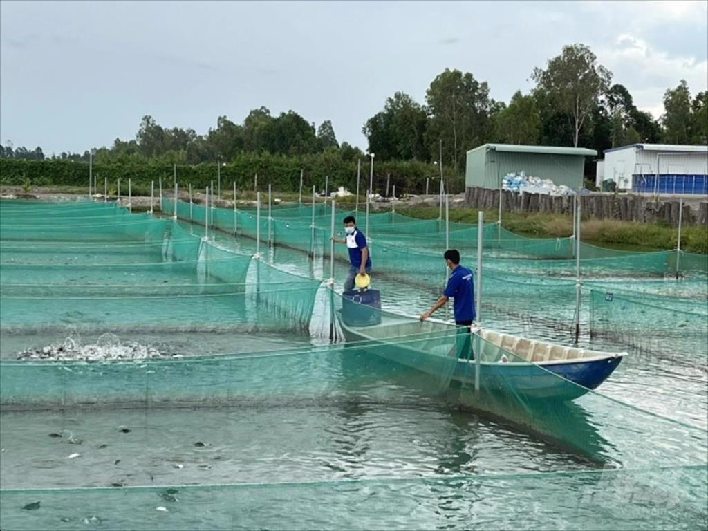 Gia tăng hàm lượng công nghệ trong chuỗi sản xuất