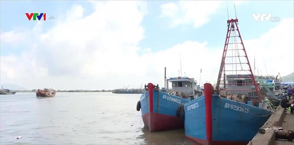 Chuyển biến rõ nét trong chấp hành IUU