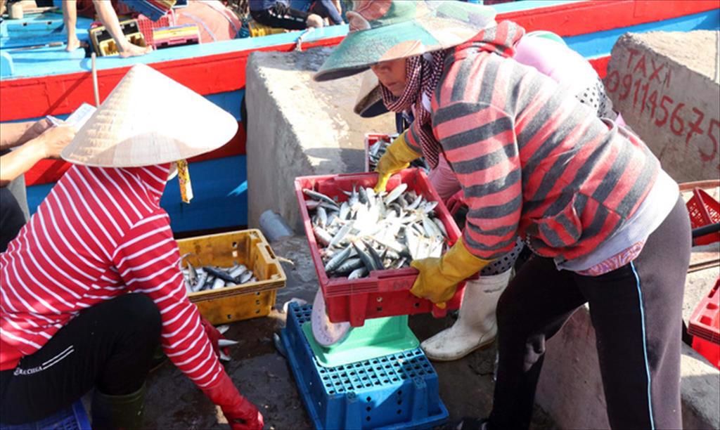 Quyết liệt gỡ "thẻ vàng" cho thủy sản