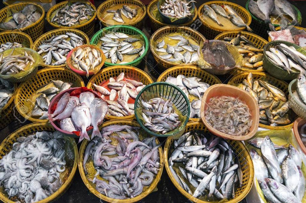 Triển vọng thị trường thủy sản Trung Quốc: những tín hiệu trái chiều