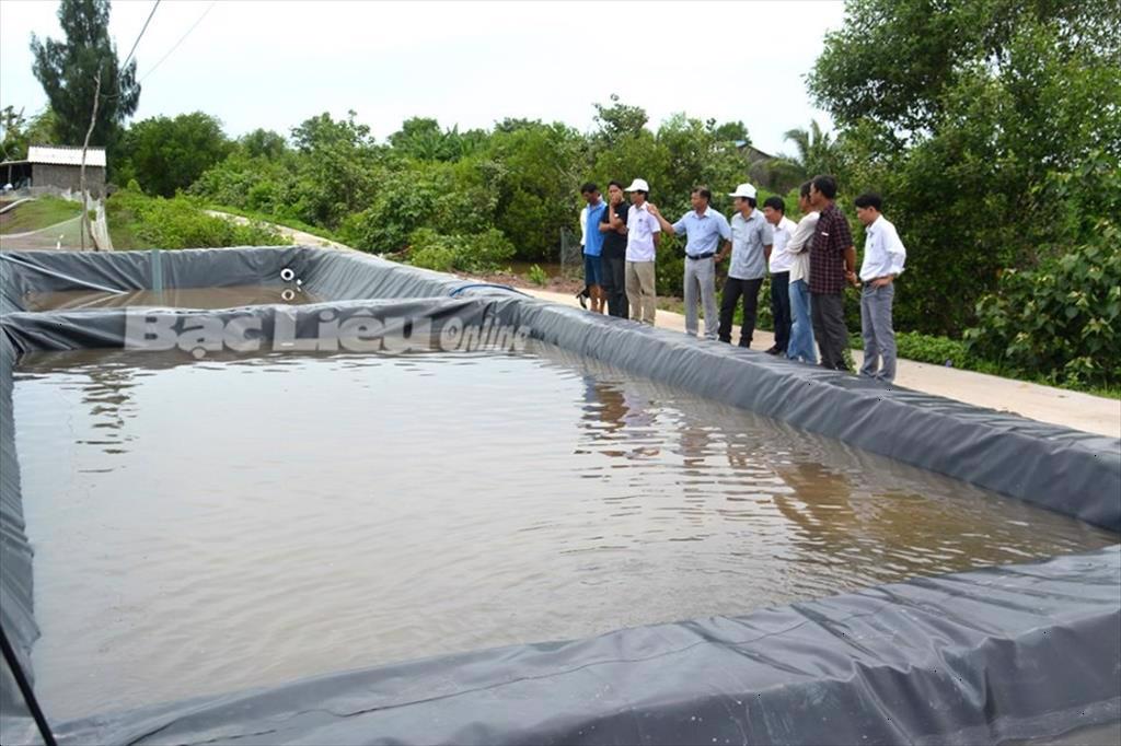 Nuôi nước trước nuôi tôm!