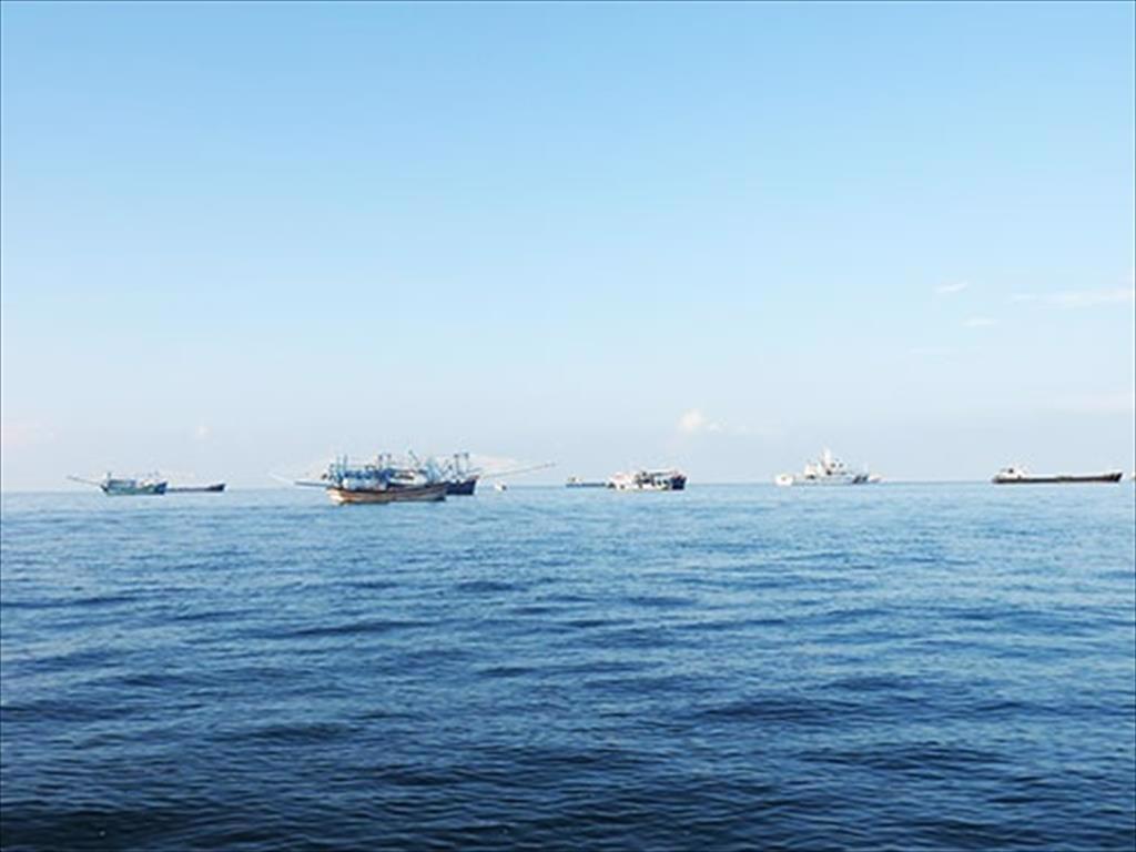 Phú Quý (Bình Thuận): Sản lượng khai thác hải sản tiếp tục tăng