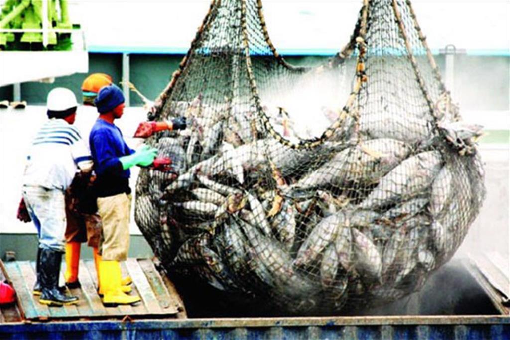 Visible improvement in compliance with anti-IUU fishing regulations in Vietnam